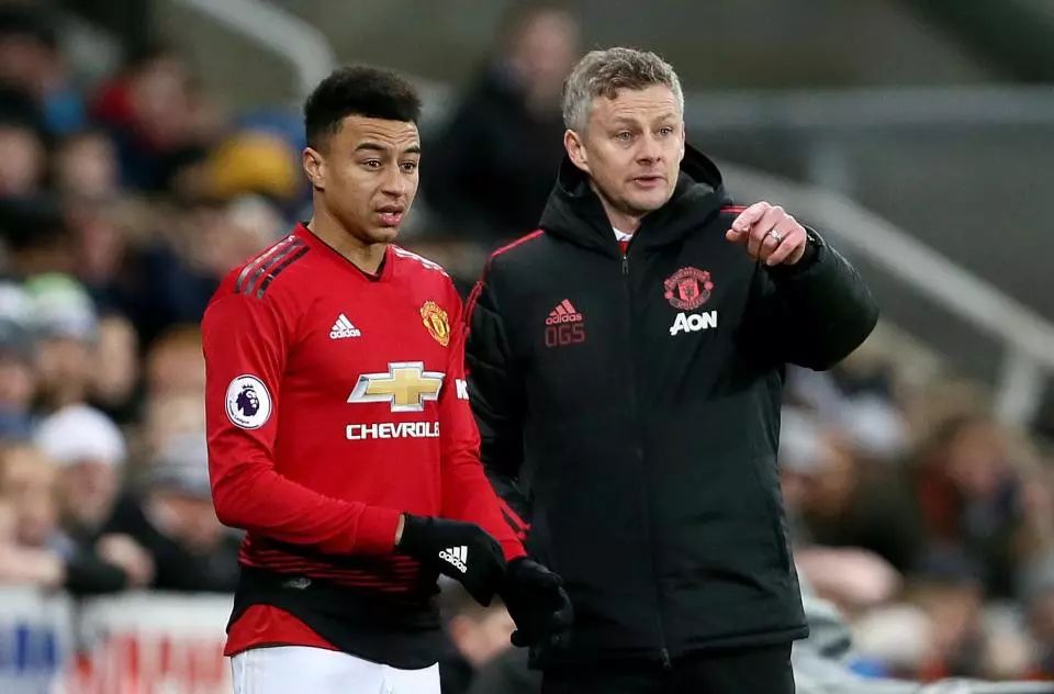 高强度的比 高强度的比